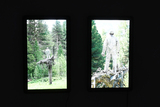View steudler-808_3450-cropped-meta.jpg