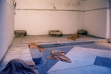 View szeemann-DSC_4960x2-meta.jpg
