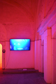 View thuering-DSC_5027x2-meta.jpg