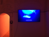 View thuering-IMG_8963x2-meta.jpg